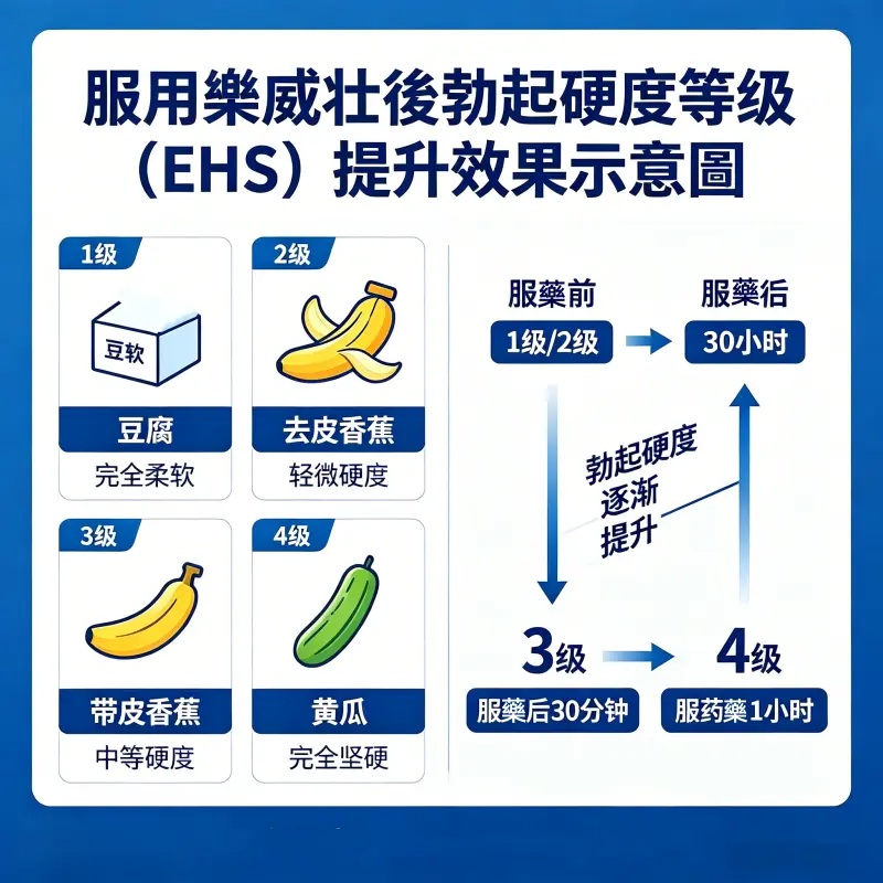 服用樂威壯後勃起硬度等級 (EHS) 提升效果示意圖