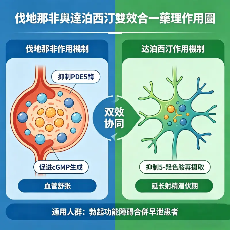 伐地那非與達泊西汀雙效合一藥理作用圖