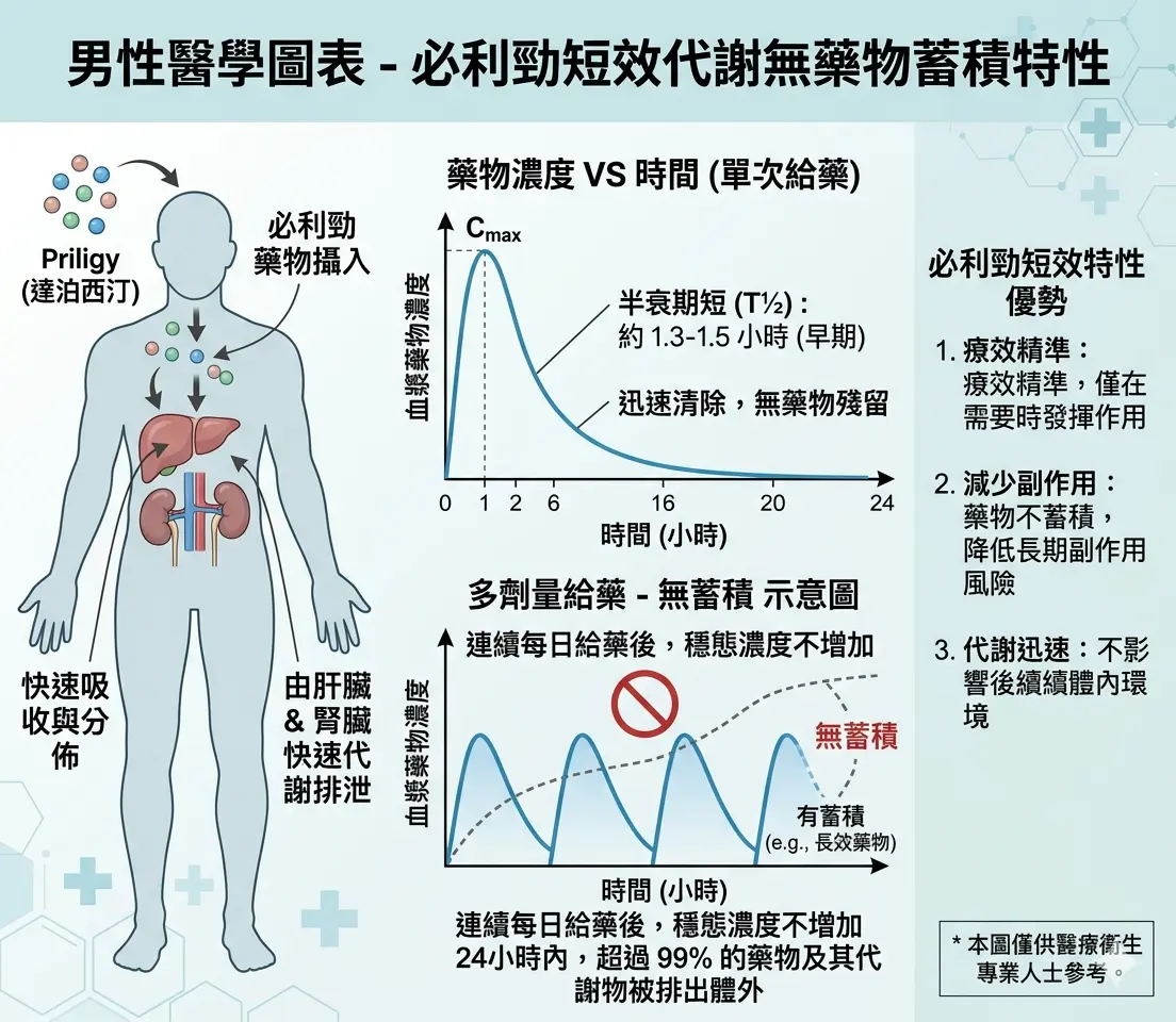 男性醫學圖表展示必利勁短效代謝無藥物蓄積特性