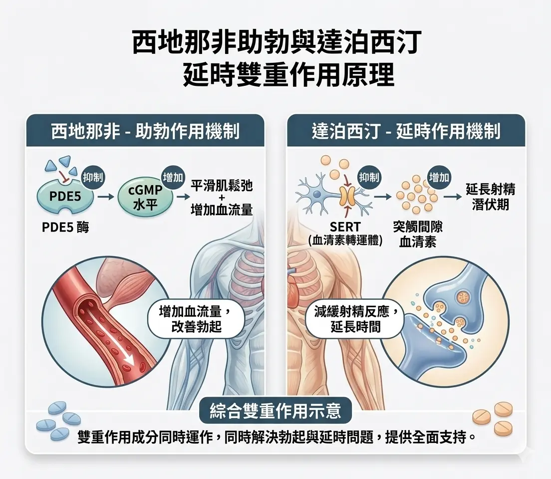 超級雙效威而鋼巔峰藍P效果機製