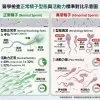 醫學檢查正常精子型態與活動力標準對比示意圖