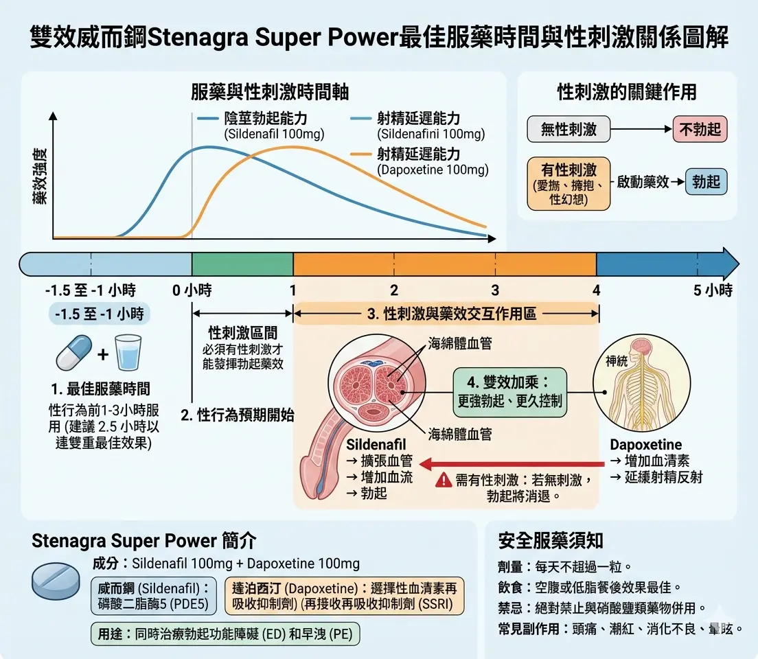 雙效威而鋼Stenagra Super Power最佳服藥時間與性刺激關係圖解