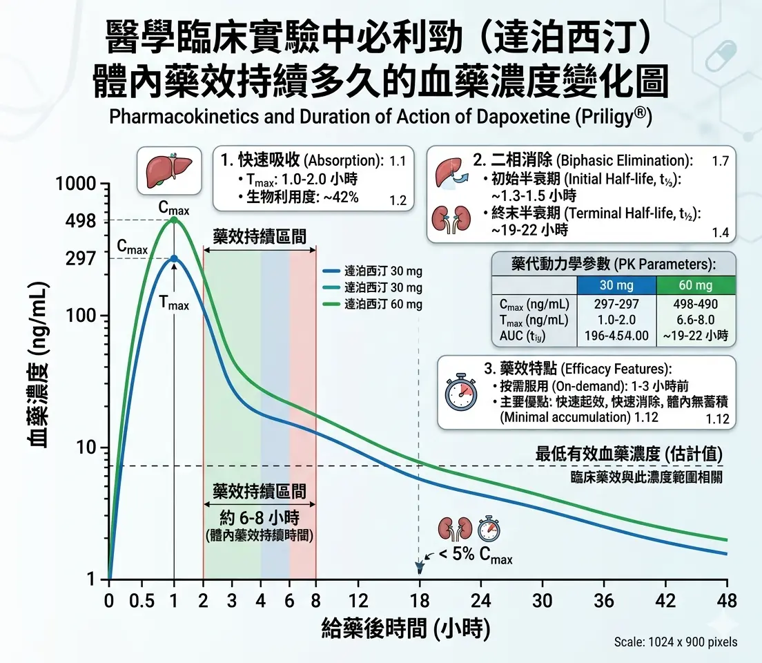 醫學臨床實驗中必利勁（達泊西汀）體內藥效持續多久的血藥濃度變化圖