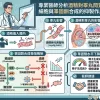 專業醫師分析酒精對睪丸間質細胞與睪固酮合成的抑製作用