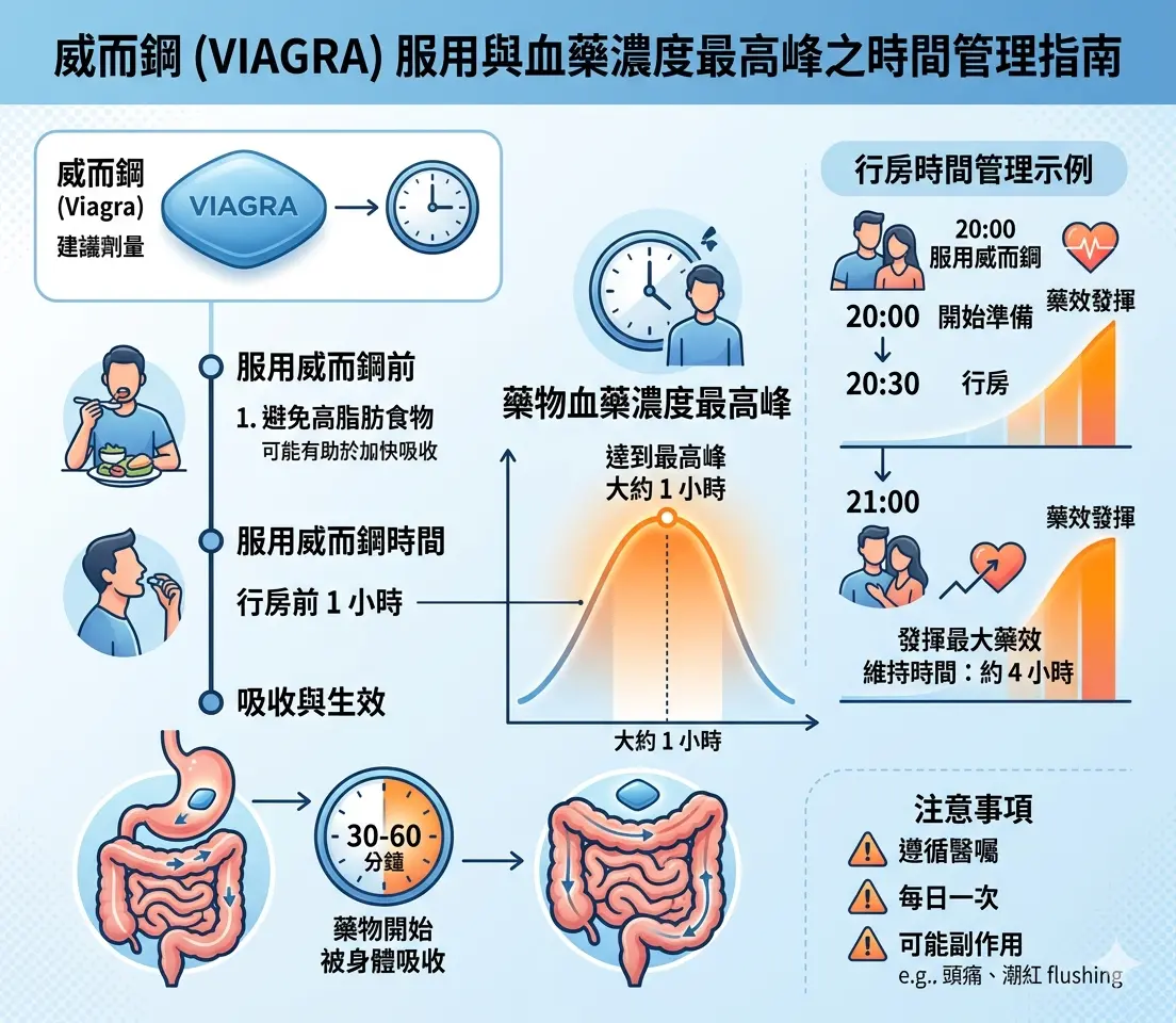 行房前1小時服用威而鋼以達到血藥濃度最高峰之時間管理指南
