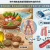 富含精胺酸與不飽和脂肪酸的地中海飲食有助於提升威而鋼藥效