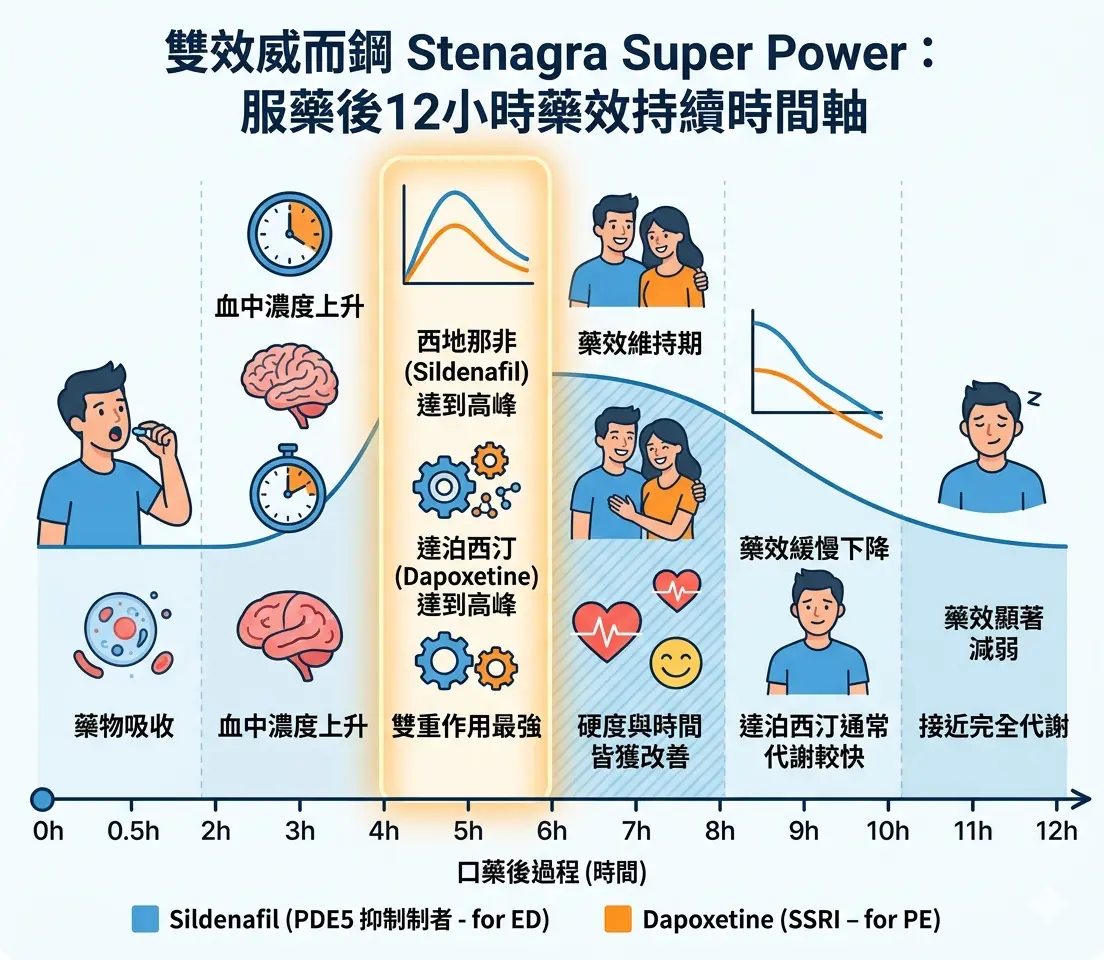 雙效威而鋼Stenagra Super Power服藥後12小時藥效持續時間軸
