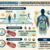 清晨與午後睪固酮分泌高峰期服用威而鋼之生理時鐘協同效應