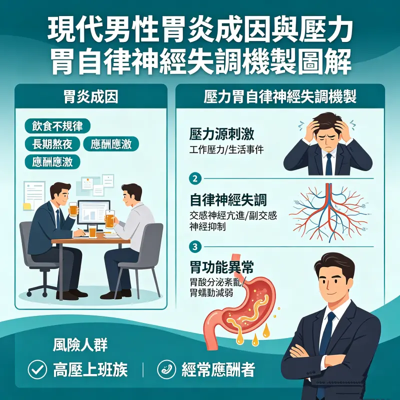 現代男性胃炎成因與壓力胃自律神經失調機製圖解