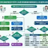 泌尿科藥師根據不同性行為需求推薦威而鋼與犀利士的選擇流程圖