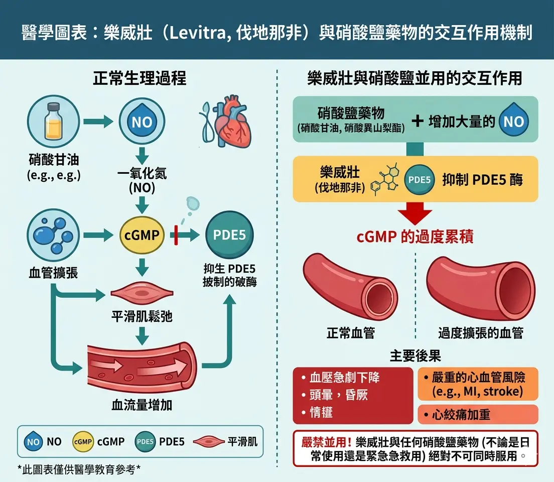 醫學圖表顯示樂威壯Levitra主要成分伐地那非與硝酸鹽藥物的交互作用