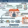 必利勁 Priligy 藥片與常規抗抑鬱藥百憂解樂復得的併用風險與藥物交互作用