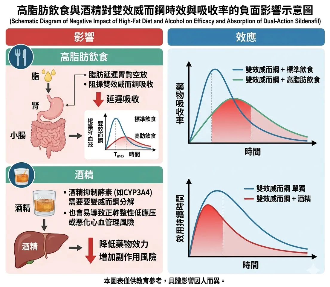 高脂肪飲食與酒精對雙效威而鋼時效與吸收率的負面影響示意圖