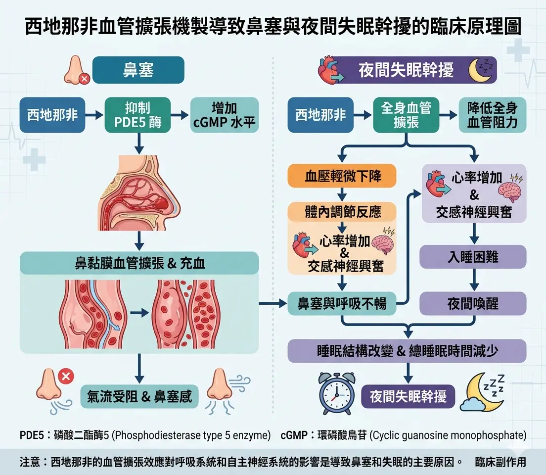 西地那非血管擴張機製導致鼻塞與夜間失眠幹擾的臨床原理圖