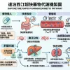 必利勁能否長期服用：達泊西汀超快藥物代謝機製圖