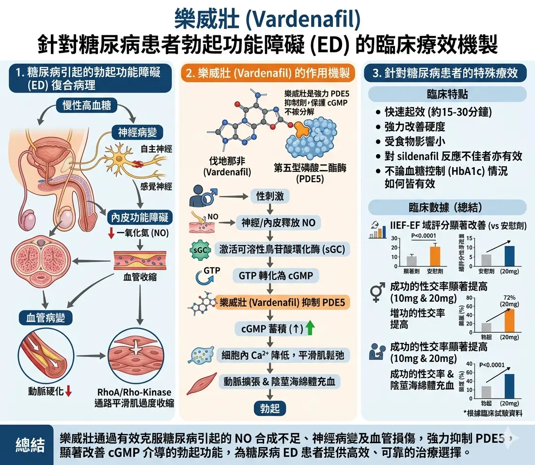 樂威壯Vardenafil針對糖尿病患者勃起功能障礙的臨床療效機製