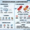 男性晨勃消失原因與心血管疾病關係解析