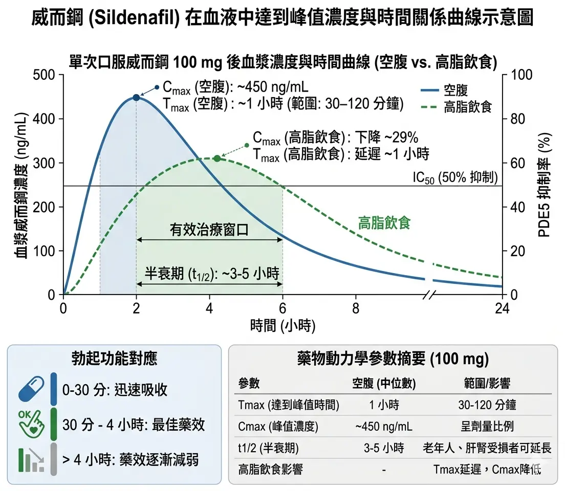 威而鋼在血液中達到峰值濃度與時間關係曲線示意圖
