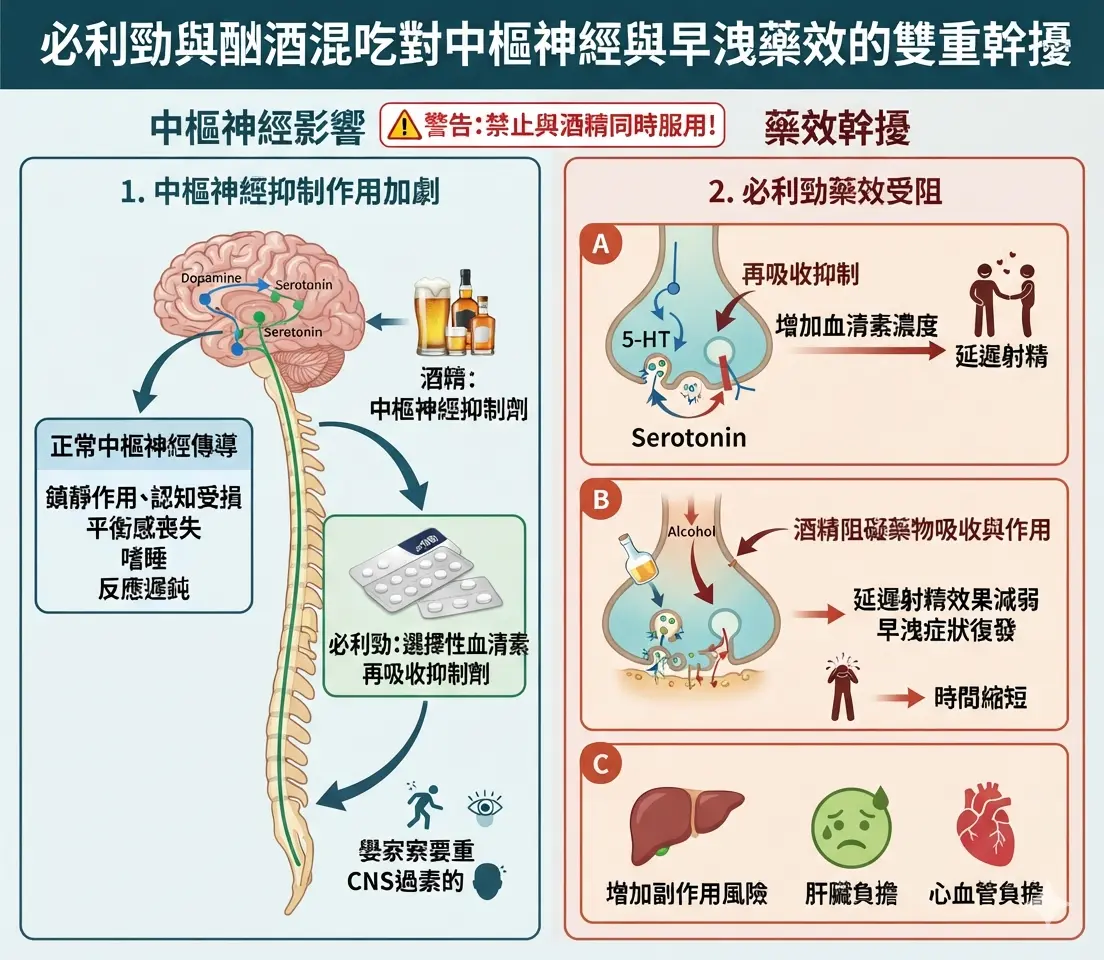 必利勁與酗酒酒精混吃對中樞神經與早洩藥效的雙重幹擾圖解
