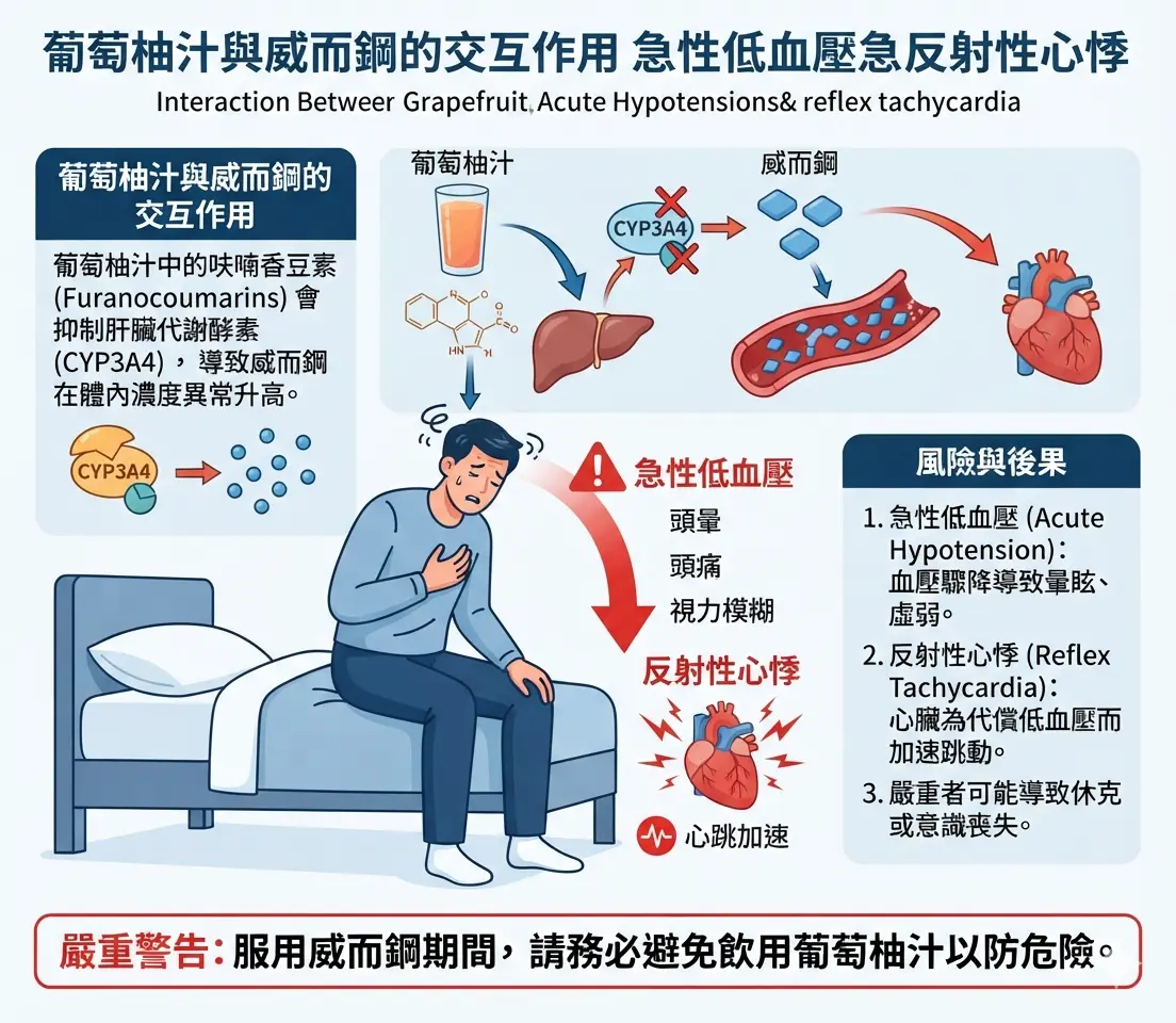 不當混用葡萄柚汁與威而鋼引發急性低血壓與反射性心悸的風險癥狀