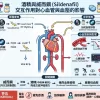 酒精與威而鋼交互作用對心血管與血壓影響的醫學解析圖