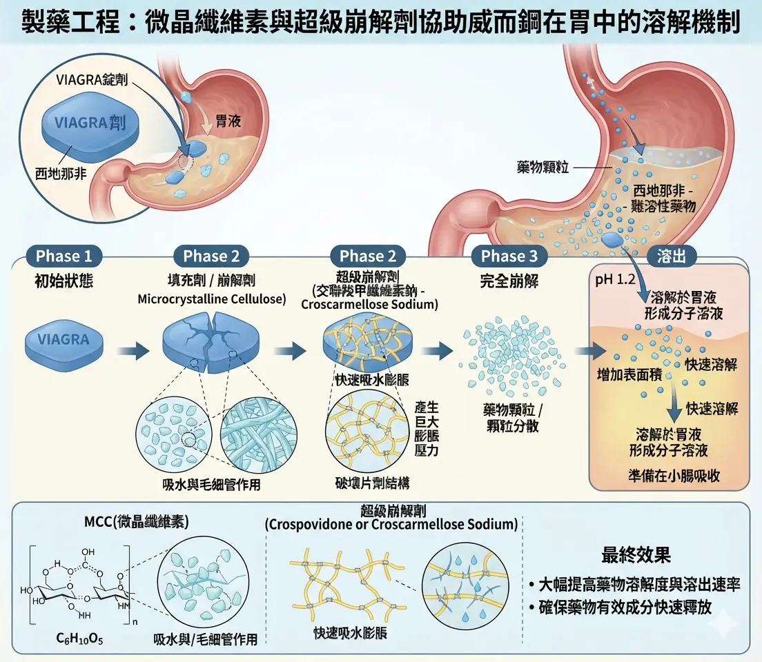 製藥工程中微晶纖維素與超級崩解劑如何協助威而鋼在胃中溶解
