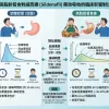 高脂肪餐食如何影響威而鋼藥效吸收的臨床對比圖