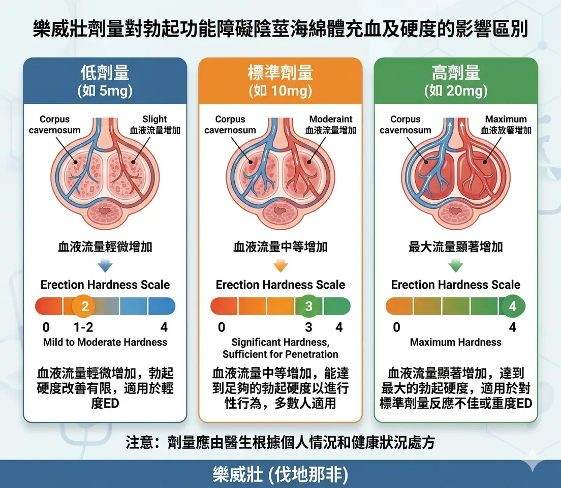 樂威壯劑量區別對勃起功能障礙陰莖海綿體充血硬度的影響