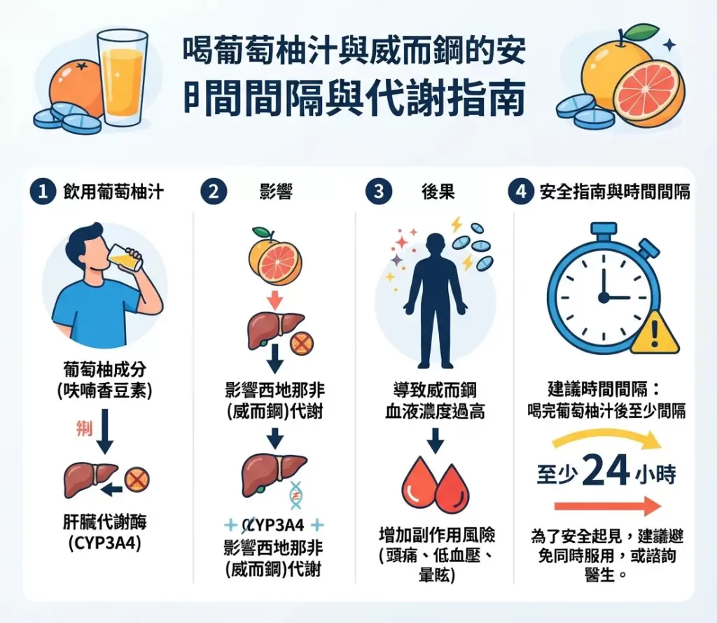 喝了葡萄柚汁後多久可以吃威而鋼的安全時間間隔與代謝指南圖