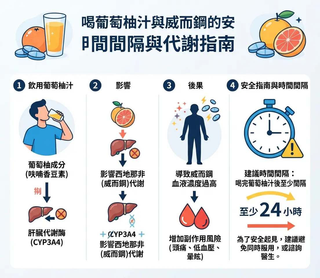 喝了葡萄柚汁後多久可以吃威而鋼的安全時間間隔與代謝指南圖
