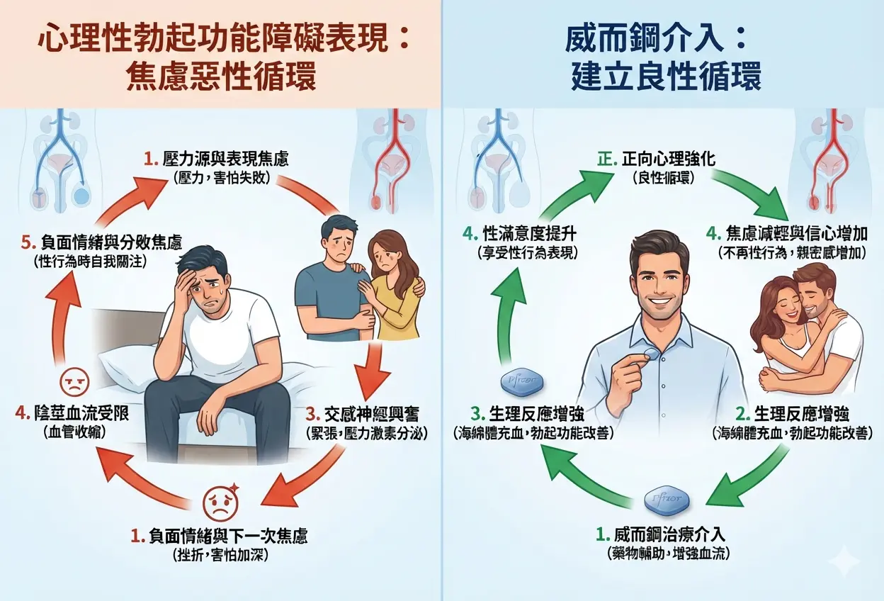 心理性勃起功能障礙表現焦慮與威而鋼介入良性循環對比圖