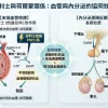 犀利士與荷爾蒙關係