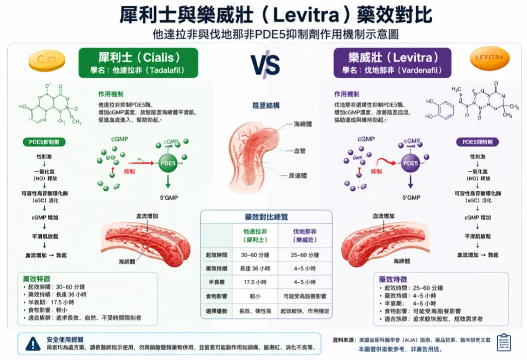 犀利士與樂威壯（Levitra）的藥效對比：他達拉非與伐地那非PDE5抑製劑作用機製示意圖
