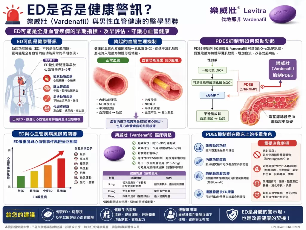 ED是否是健康警訊與樂威壯的醫學關聯圖解，展示男性血管健康與PDE5抑製劑的臨床角色