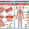 勃起問題與血管疾病與樂威壯的醫學病理關聯：陰莖海綿體微血管硬化與心血管疾病的前哨警報示意圖
