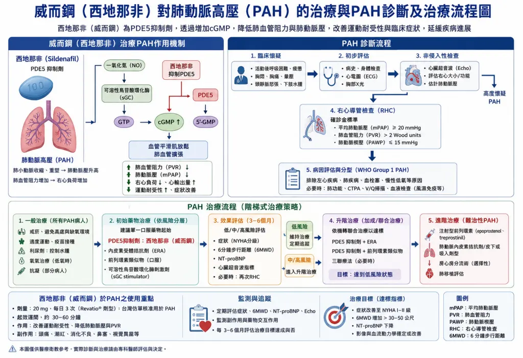 威而鋼對肺動脈高壓的治療與 PAH 診斷及治療流程圖
