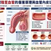 抽菸對陰莖血管的傷害原理與血管內皮功能障礙示意圖