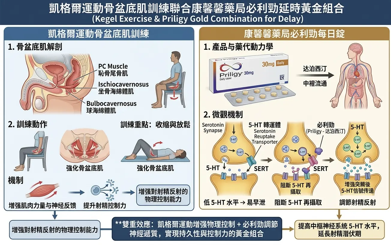早洩運動改善與必利勁協同效應：凱格爾運動骨盆底肌訓練配合康馨馨藥局必利勁延時黃金組合