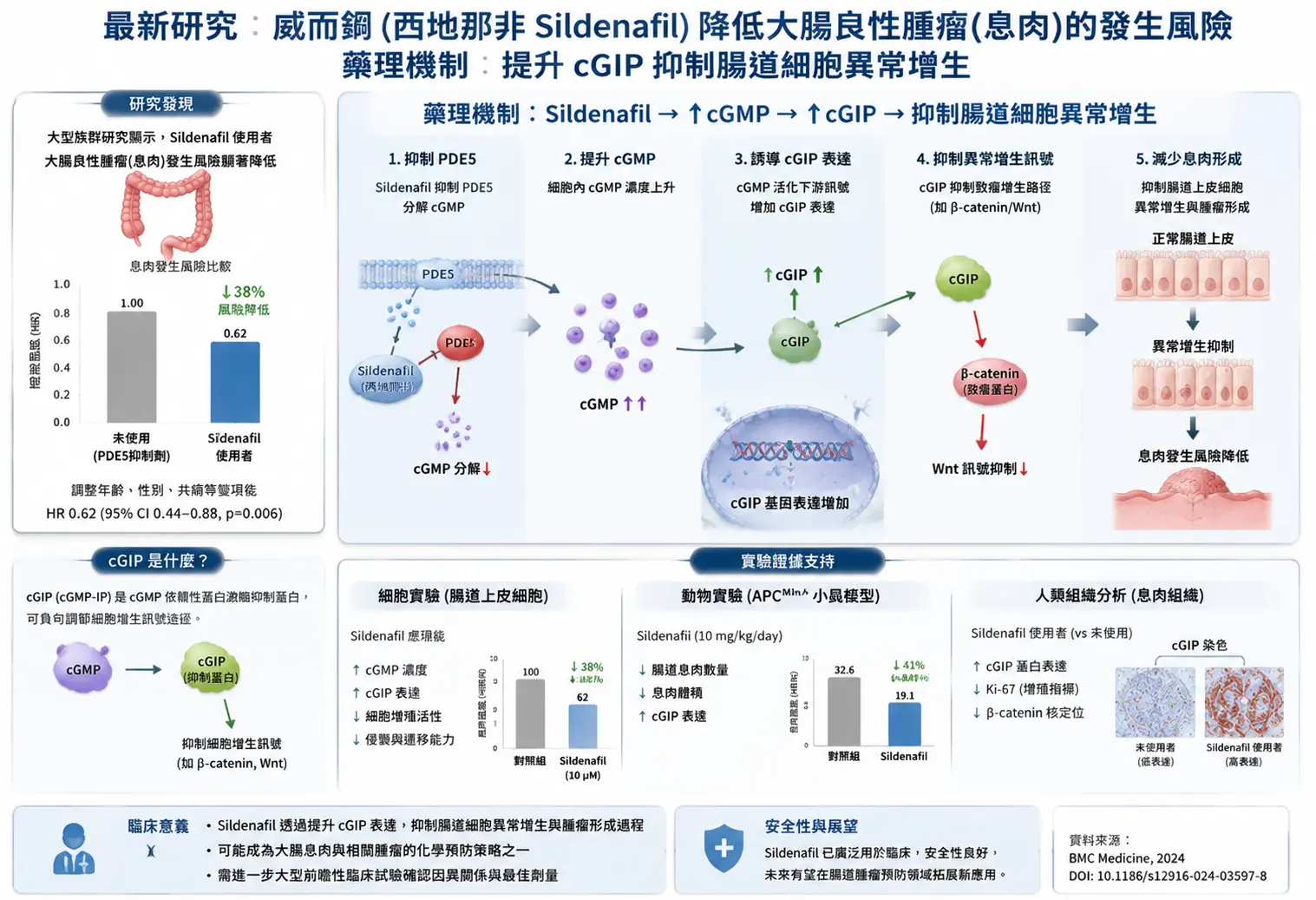 最新研究：威而鋼通過促進腦部血流預防失智癥的醫學機轉與大腦神經網絡示意圖