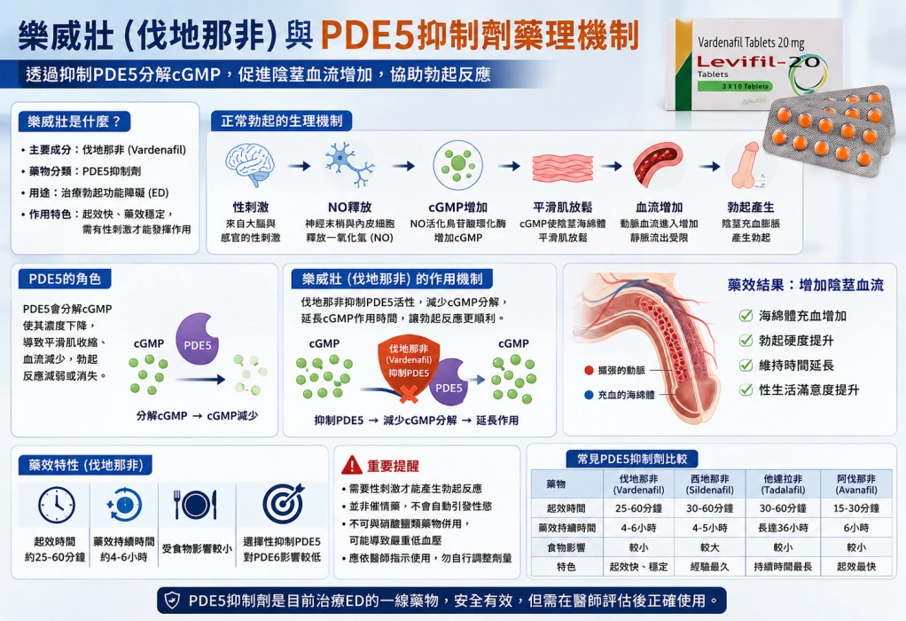 樂威壯伐地那非與PDE5抑製劑藥理機製