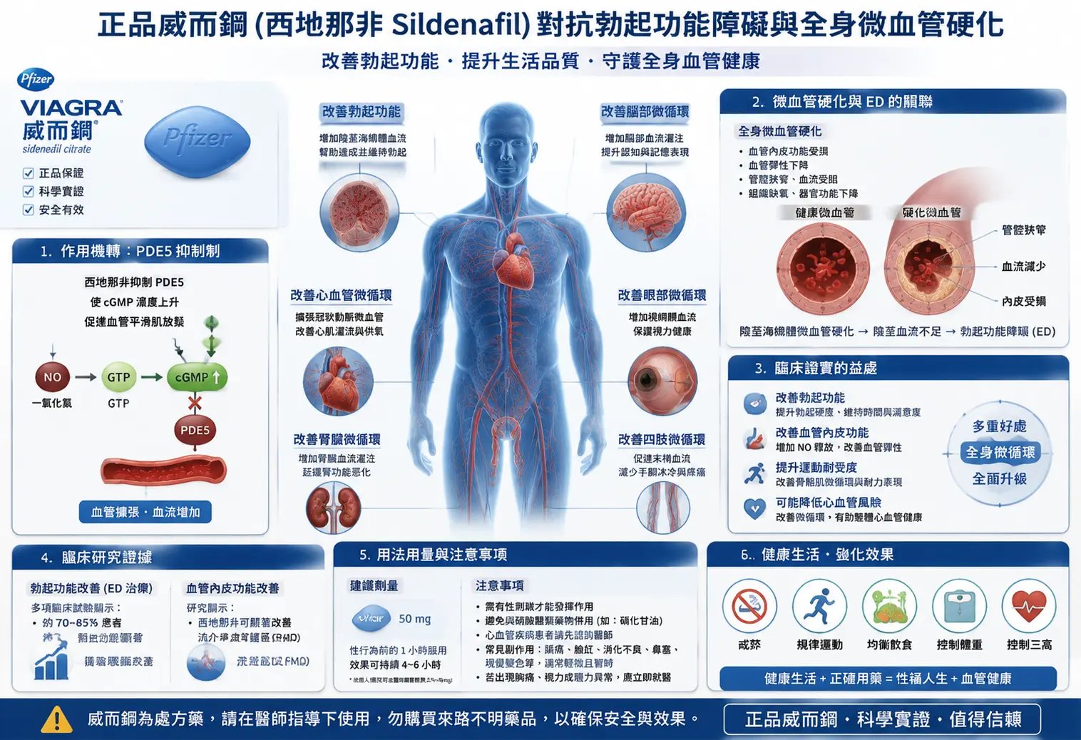 正品威而鋼西地那非對抗勃起功能障礙與全身微血管硬化的臨床衛教圖