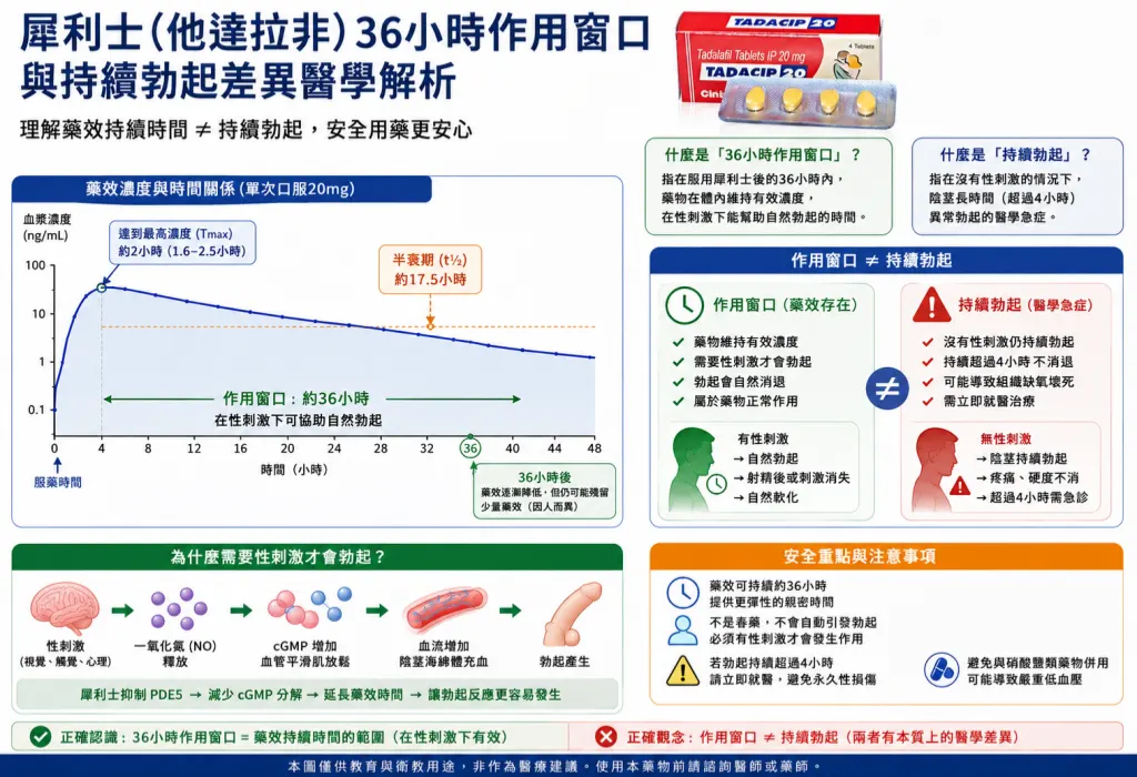 犀利士36小時作用窗口與持續勃起差異醫學解析圖