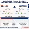 犀利士與威而鋼（Viagra）的本質區別：他達拉非與西地那非PDE5抑製劑作用機製比較