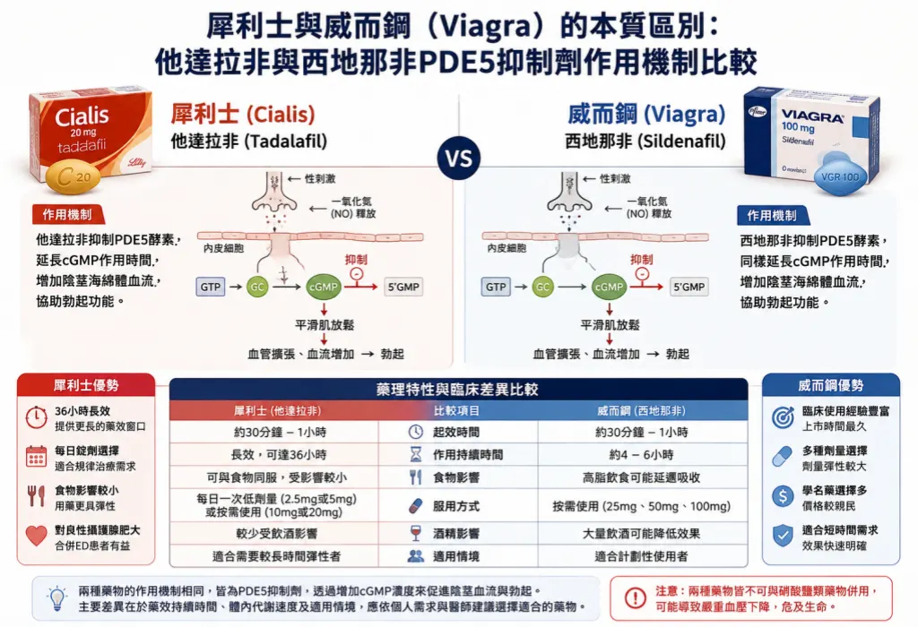 犀利士與威而鋼（Viagra）的本質區別：他達拉非與西地那非PDE5抑製劑作用機製比較