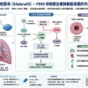 西地那非 PDE5 抑製劑治療肺動脈高壓作用機製圖