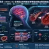 西地那非Sildenafil穿透腦血管障壁並擴張腦部微血管促進血液循環的醫學3D插圖