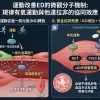 運動是否能改善犀利士ED的微觀分子機製
